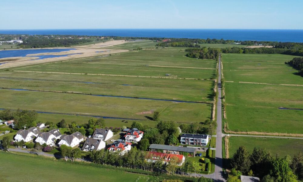 Koje Boddenbrise