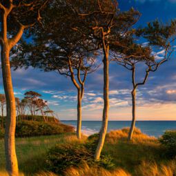 Wilder Weststrand Fischland Darss bei Sonnenaufgang