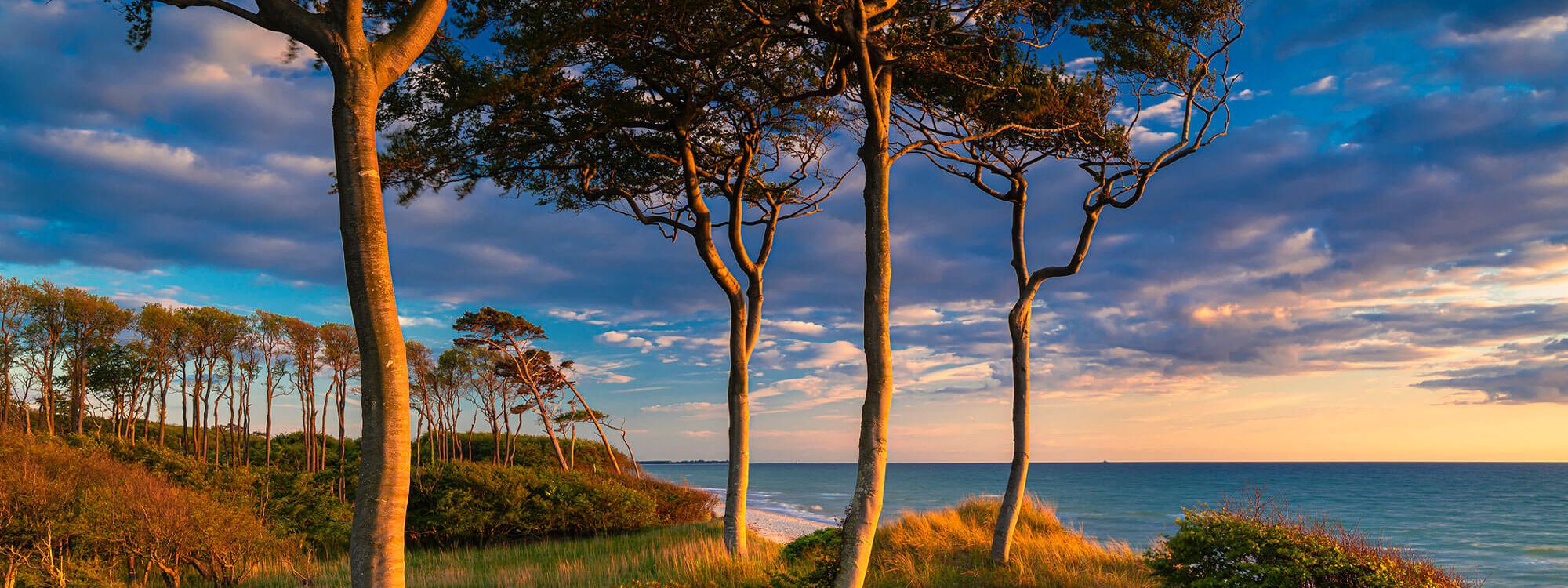 Wilder Weststrand Fischland Darss bei Sonnenaufgang