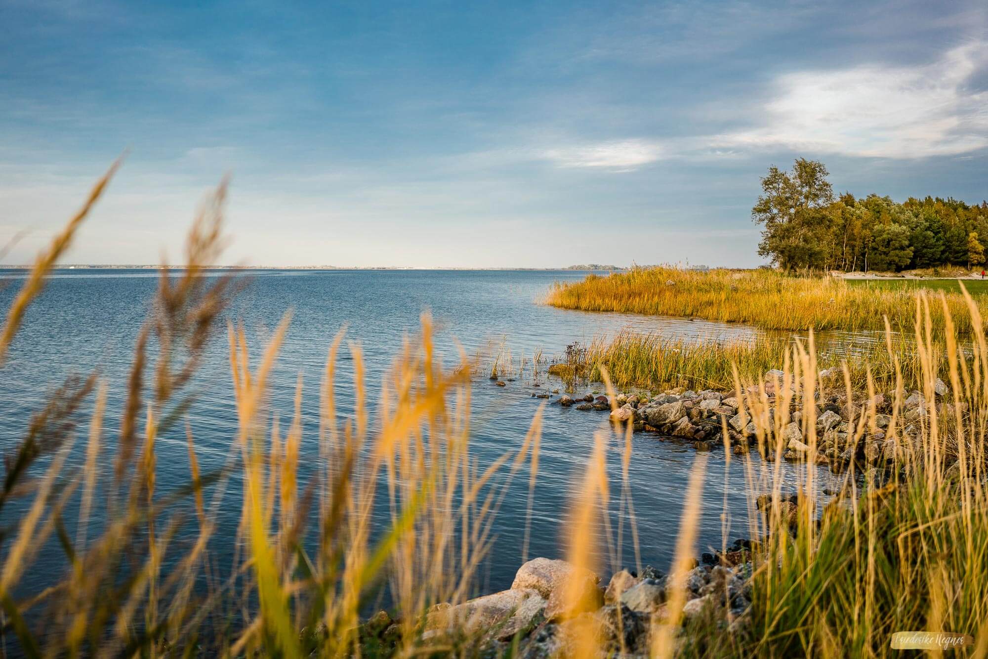 Spätsommertage in der Natur